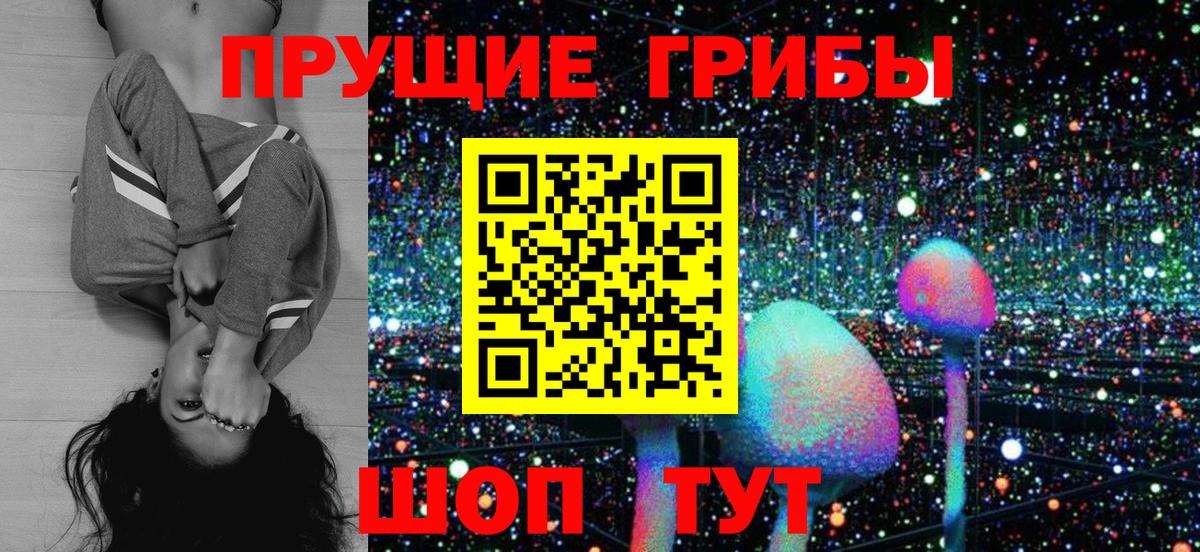 Псилоцибиновые грибы мицелий Лысьва